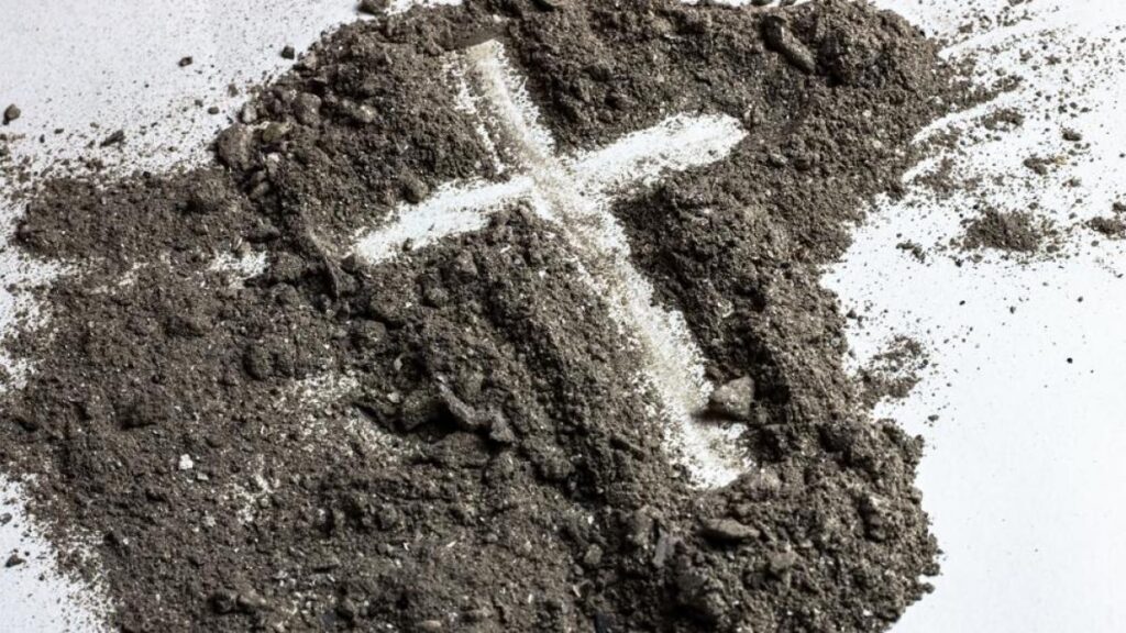 Qué significa Del polvo venimos y al polvo vamos