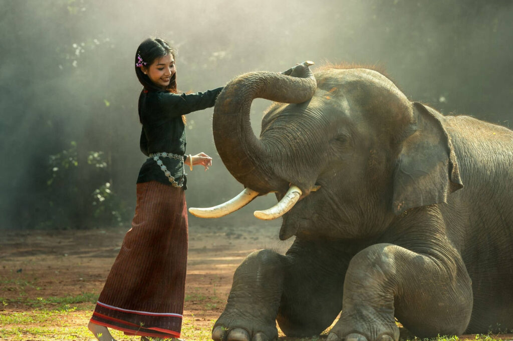 El enigma del elefante: desentrañando su historia según Jorge Bucay