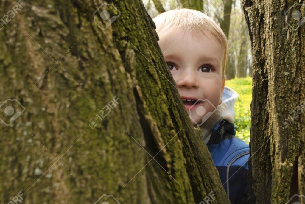 El increíble aprendizaje del niño con el árbol: una aventura mágica