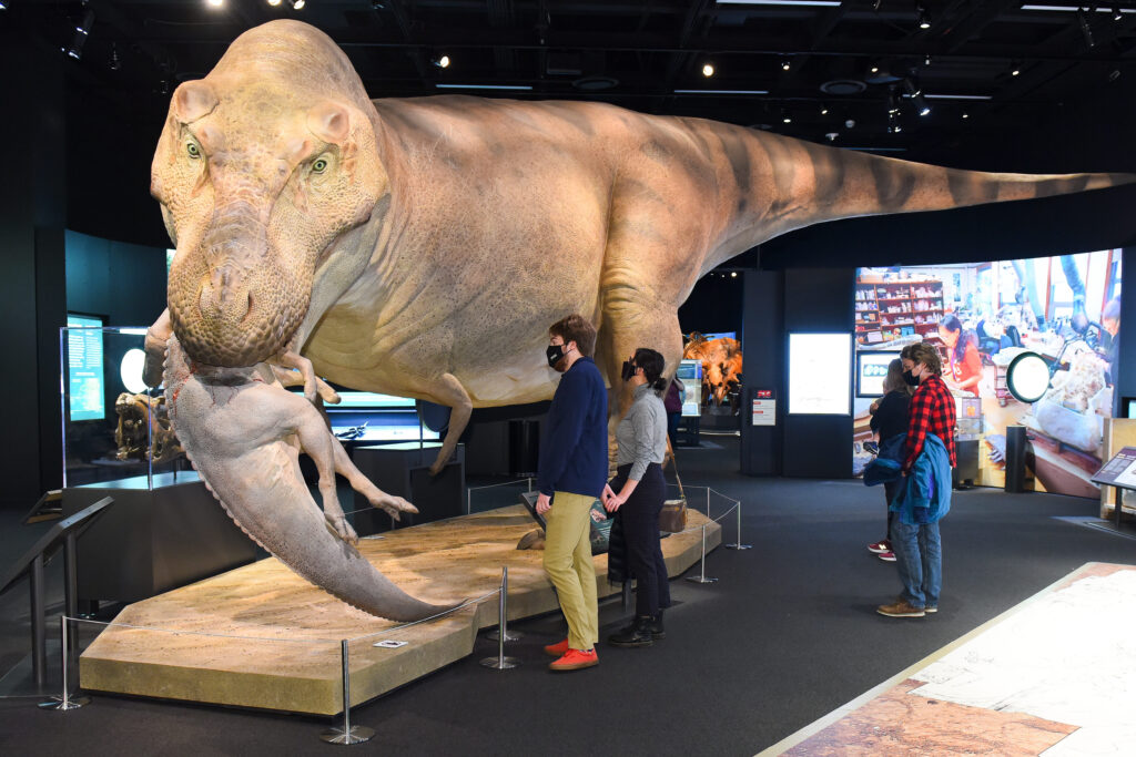 El famoso Brachiosaurus, el gigante de cuello largo que conquistó la Tierra