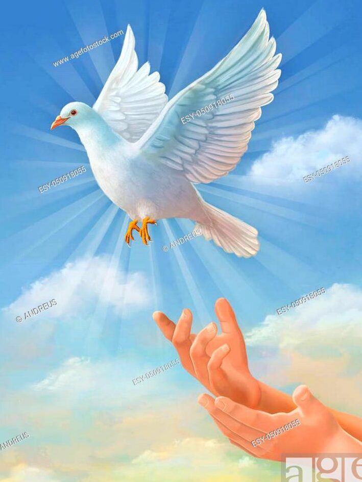 una imagen con colores suaves que represente la paz y la espiritualidad como una paloma blanca volando sobre un fondo azul claro