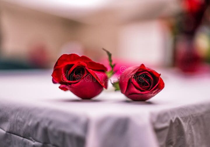 una imagen con dos rosas rojas entrelazadas
