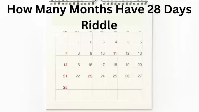 Descubre el enigma: el orden de los meses del año en una adivinanza