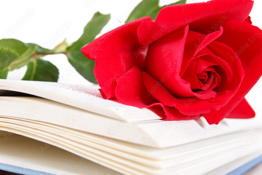 una imagen con un libro abierto y una rosa roja sobre sus paginas