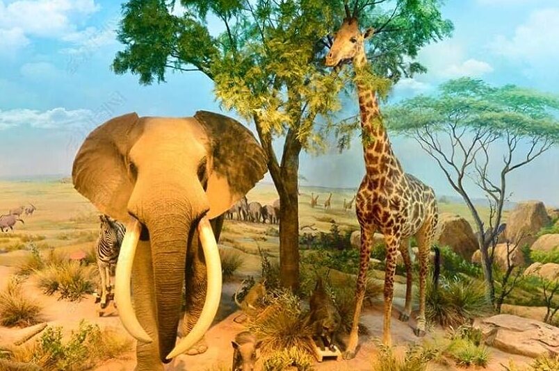 una imagen de animales de diferentes tamanos y alturas jugando juntos en un paisaje colorido