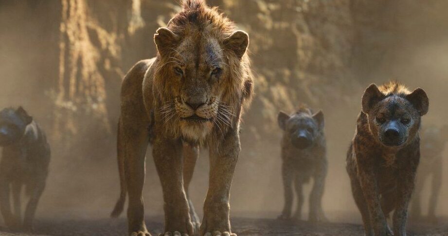Animales de El Rey León»: Descubre su papel en la película»