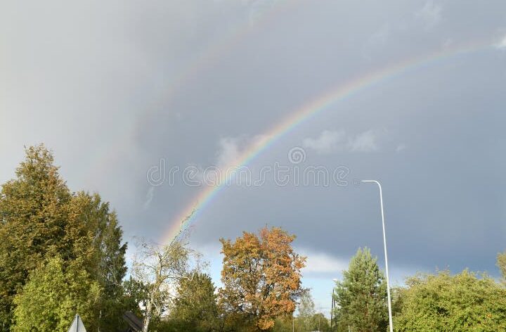 una imagen de un arcoiris brillante y vibrante sobre un paisaje verde despues de la lluvia