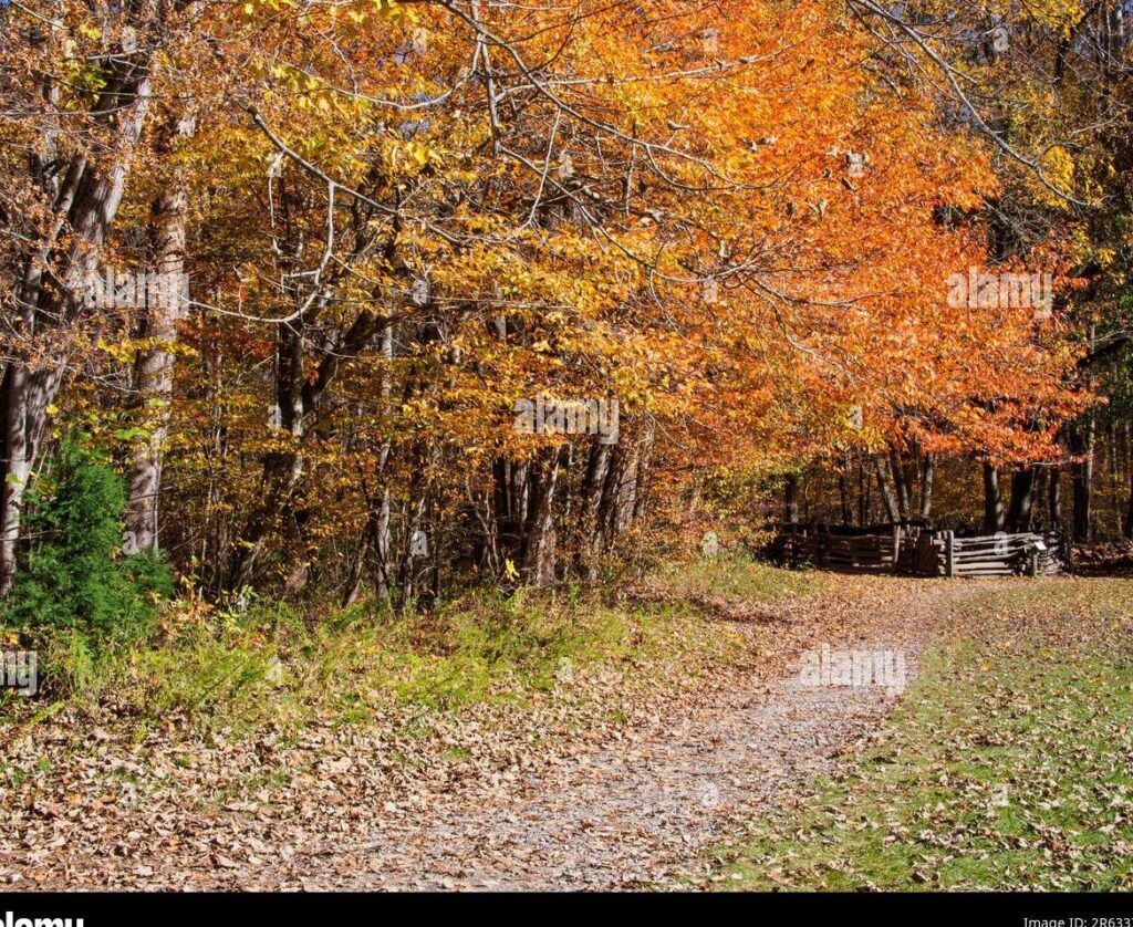 Secretos para alcanzar la riqueza, sabiduría y felicidad en la vida 7 Secretos para alcanzar la riqueza, sabiduría y felicidad en la vida