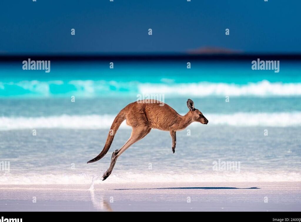 una imagen de un canguro saltando alegremente en un paisaje natural