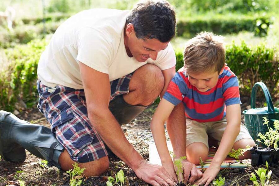 El aprendizaje del jardinero: cuidando de una familia en el jardín