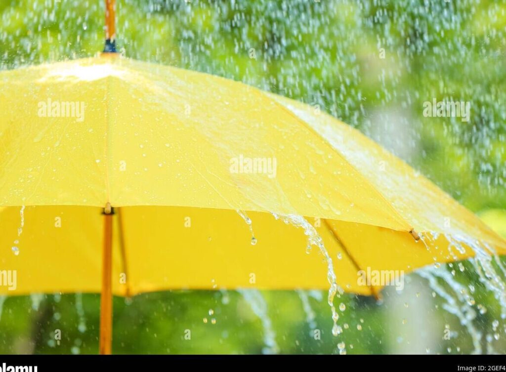una imagen de un paraguas abierto bajo la lluvia