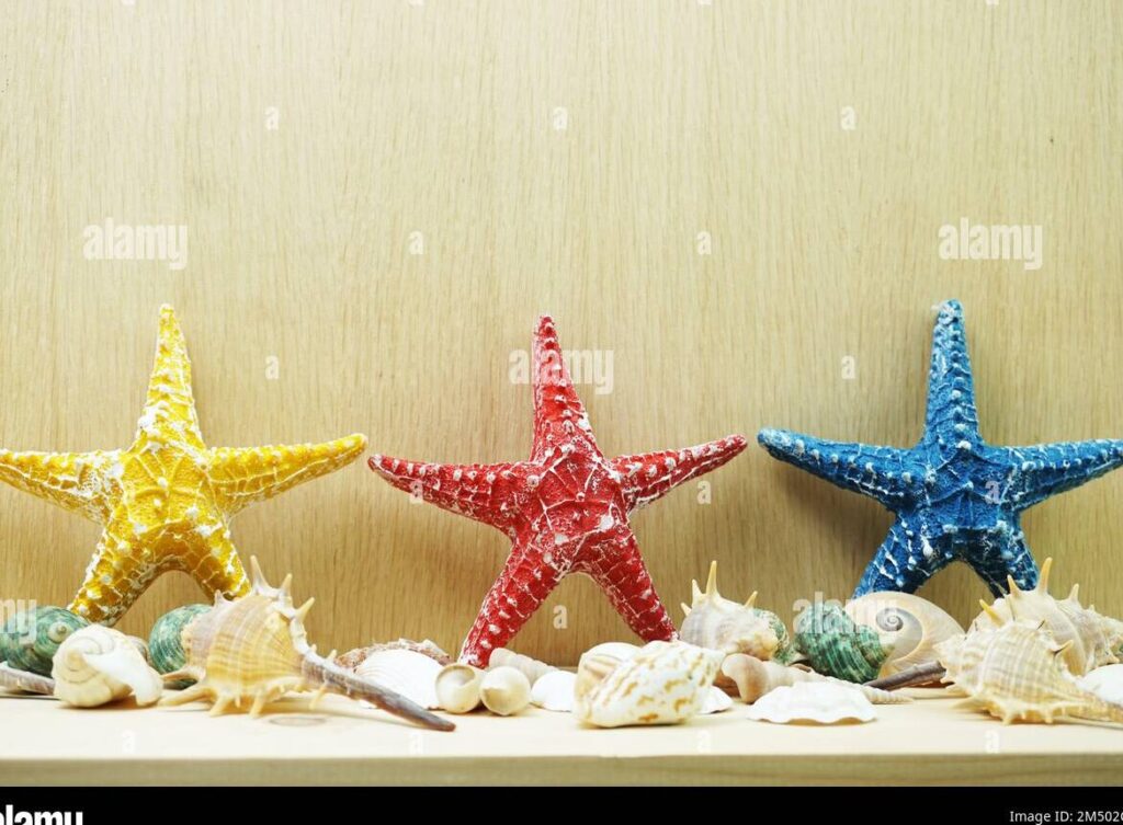 una imagen de una mesa decorada con conchas marinas estrellas de mar y colores brillantes