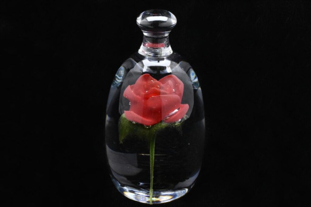una imagen de una rosa roja en una campana de cristal