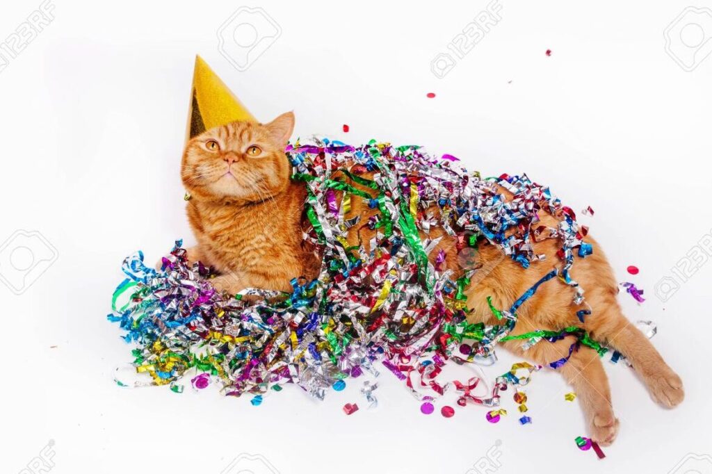 una imagen divertida de un gato con un sombrero de cumpleanos rodeado de confeti y globos