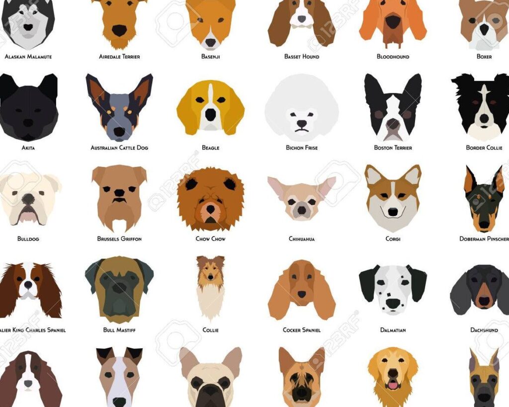 una imagen que muestre diversos perros de diferentes razas