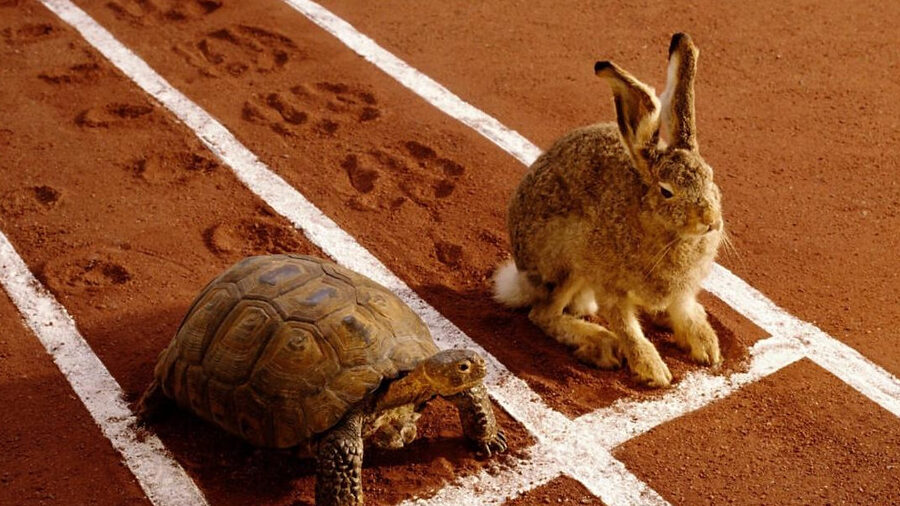 una liebre y una tortuga compitiendo en una carrera