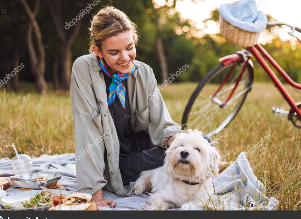 El encuentro mágico entre una niña y un perro en el parque